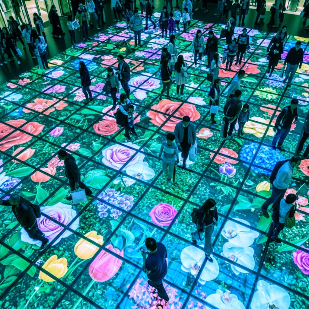 SOL LED FLOWERS